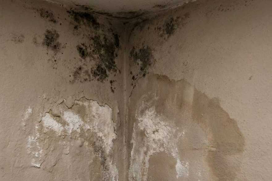 La Tua Casa ti Parla: 7 Segnali di Allarme Che NON Devi Ignorare per Salvarla dalle Infiltrazioni