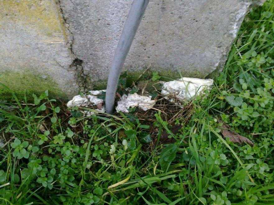 Stop alle infiltrazioni